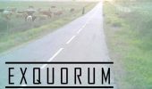 exquorum logo