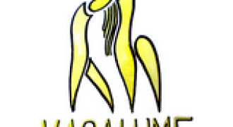vagalume - Copie
