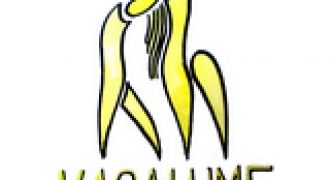 vagalume - Copie